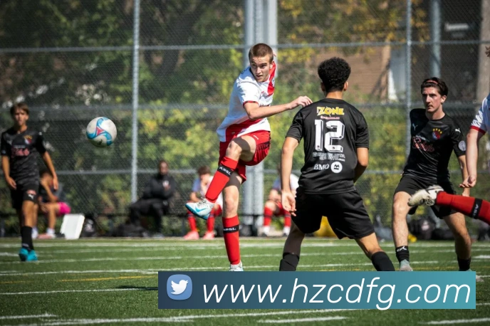 App Interface Preview