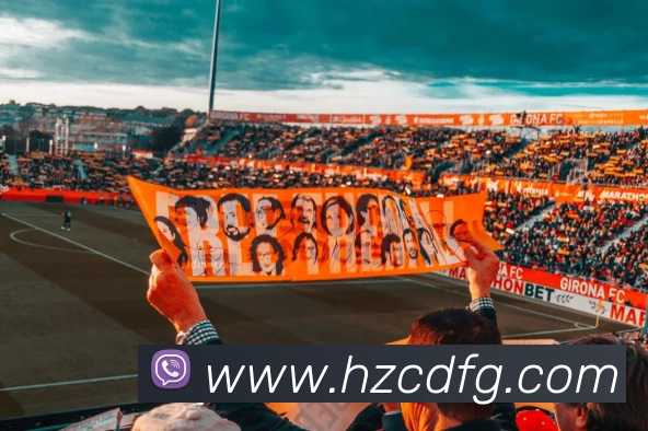 博亚体育APP 封面图