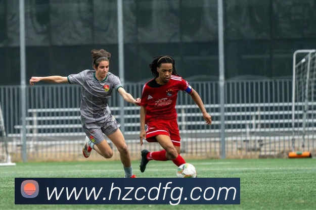 数据防护可视化