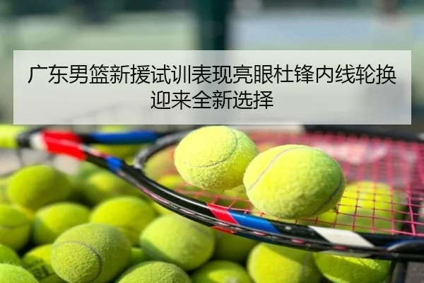 广东男篮新援试训表现亮眼杜锋内线轮换迎来全新选择