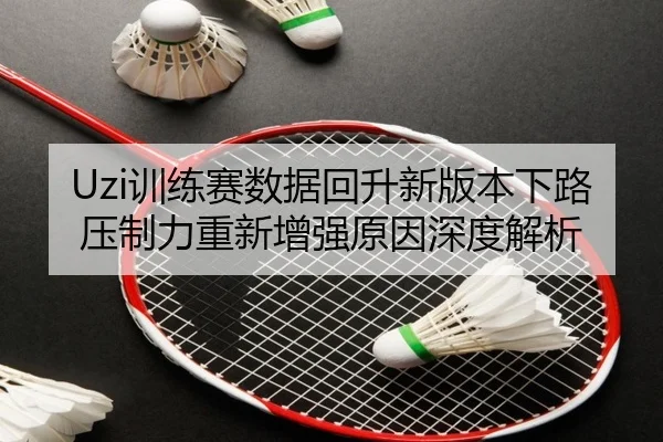 Uzi训练赛数据回升新版本下路压制力重新增强原因深度解析